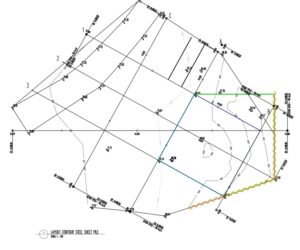 WhatsApp Image 2026-02-13 at 06.22.49