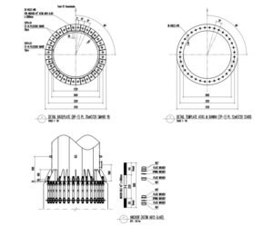 WhatsApp Image 2026-02-13 at 06.34.11