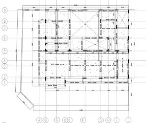 WhatsApp Image 2026-02-24 at 04.20.03