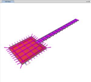 WhatsApp Image 2026-02-24 at 08.56.57